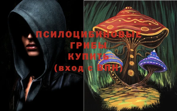 таблы Алексин