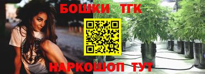 гидра Партизанск