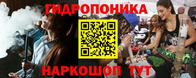 гидра Партизанск
