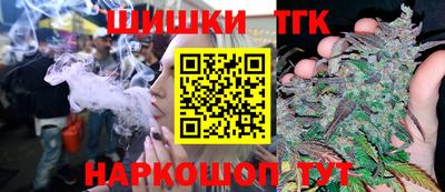 гидра Партизанск