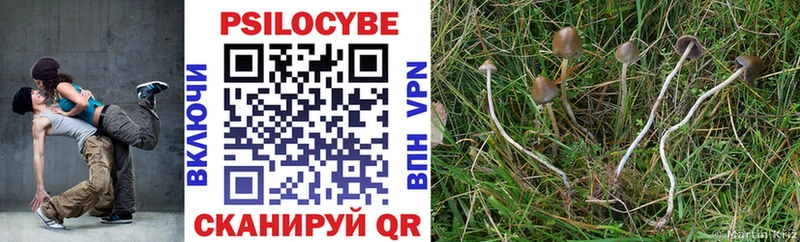 где купить наркоту  Рубцовск  Псилоцибиновые грибы GOLDEN TEACHER 